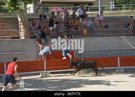 Bullring areni Albert Laty, la corrida con adolescenti, Francia Provenza, Piano d'Orgon Foto Stock