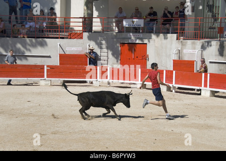 Bullring areni Albert Laty, la corrida con adolescenti, Francia Provenza, Piano d'Orgon Foto Stock