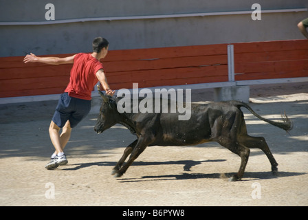 Bullring areni Albert Laty, la corrida con adolescenti, Francia Provenza, Piano d'Orgon Foto Stock