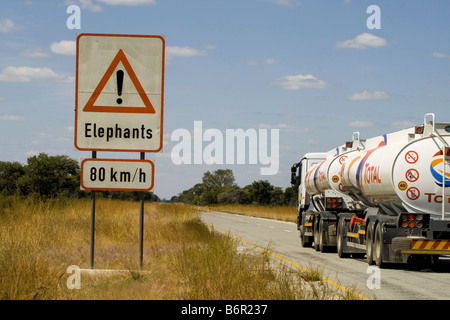 Elefante africano (Loxodonta africana), cartello stradale attenzione attraversamento elefanti, Namibia Foto Stock