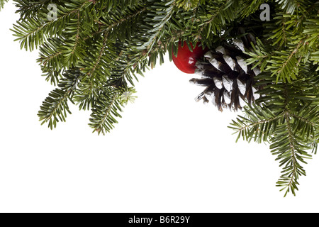 Natale decorazione Evergreen isolati su sfondo bianco Foto Stock