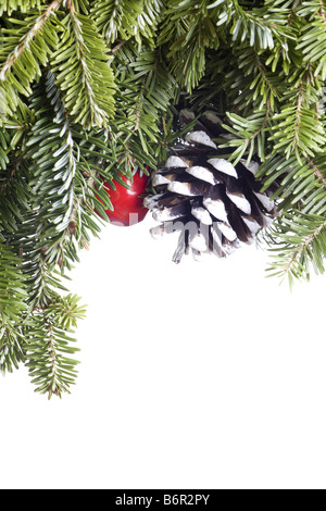 Natale decorazione Evergreen isolati su sfondo bianco Foto Stock