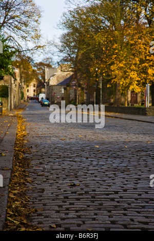 High Street, Old Aberdeen in autunno Foto Stock