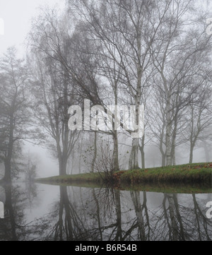 Argento betulle piscina di acqua e di riflessioni in una nebbiosa nebbioso giorno nel Parco di Beacon Lichfield Staffordshire Inghilterra Foto Stock