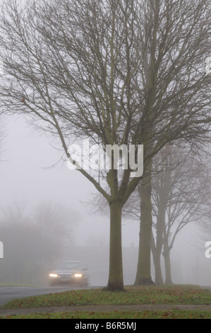 Auto con fari anteriori sulla guida attraverso la nebbia ultimi alberi sulla strada suburbana a Lichfield Staffordshire Inghilterra Foto Stock