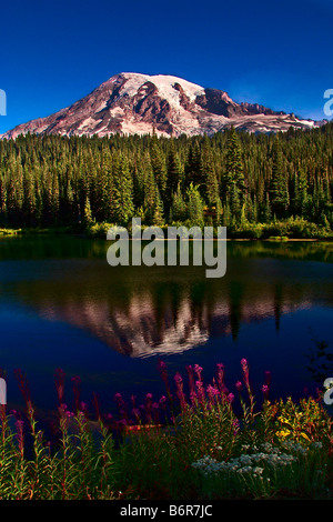 Mount Rainier riflessa nel lago di riflessione in una limpida giornata estiva a sunrise in Mount Rainier National Park WASHINGTON, STATI UNITI D'AMERICA Foto Stock