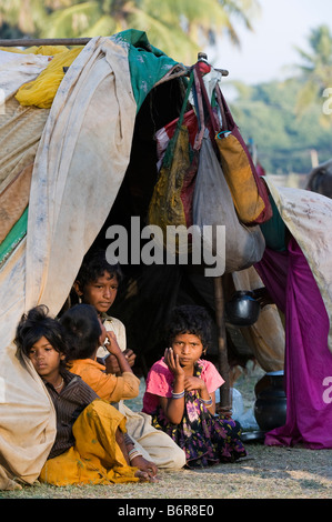 Povero indiano nomadi bambini seduti nella loro tenda nella luce del mattino. Andhra Pradesh, India Foto Stock