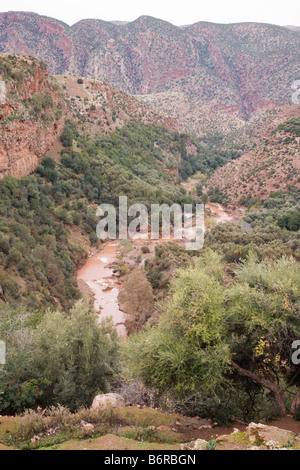 Cascate d'Ouzoud Tanaghmeilt Azilal Marocco visualizza in basso El Abid River Gorge sotto le Cascate Ouzoud nel Medio Atlante Foto Stock