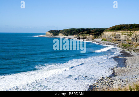 Glamorgan heritage coast st donats Vale of Glamorgan Galles del Sud Foto Stock