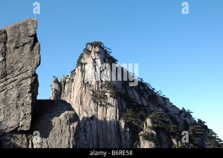 Huangshan, gialle di montagna, Anhui, Cina. Foto Stock