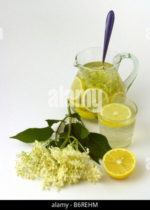 La limonata e elderflowers Foto Stock