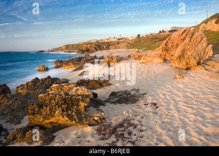 Rocce calcaree a Trigg Beach con le case al di sopra delle scogliere. Perth, Western Australia. Foto Stock