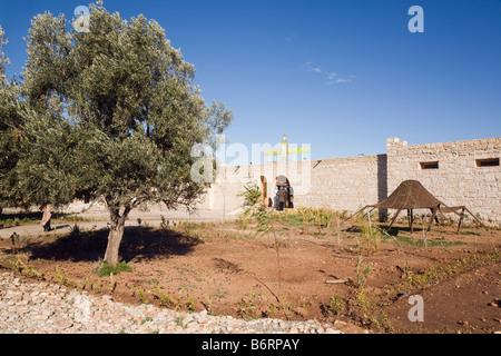 Il Marocco Assous Argan donne berbere del villaggio di cooperative di produzione e vendita con olio di Argan tree Argania spinosa al di fuori Foto Stock