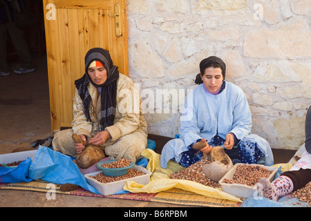 Assous Argan del Marocco donne berbere lavorando rottura albero di Argan gherigli per estrarre olio di Argan delle donne del villaggio di cooperativa Foto Stock