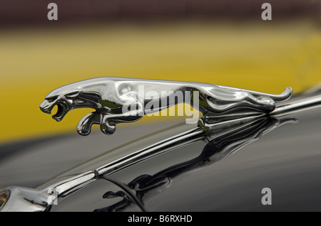 Jaguar Cars mascot - una volta un simbolo di British engineering ma ora posseduta dalla macchina gigante indiano Tata Foto Stock