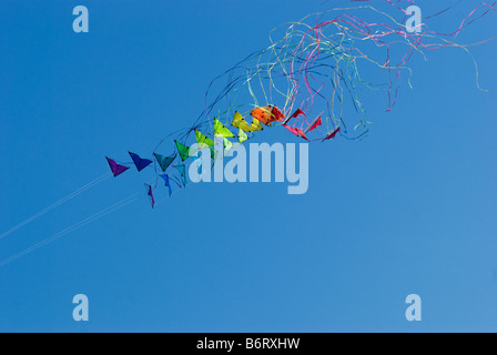 Due pile di stunt kites in arcobaleno di colori su un cielo blu sullo sfondo di schiantarsi metà aria Foto Stock