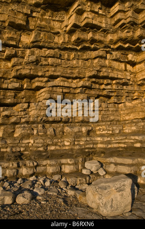 In prossimità della roccia calcarea sul Glamorgan Heritage Coast mostra pattern e dettaglio Foto Stock