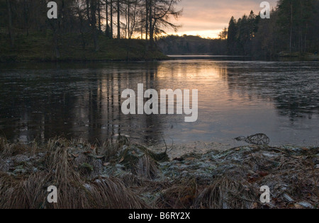 Tarn Hows nel distretto del lago in una fredda sera d'inverno con il sole che si riflette sul ghiaccio Foto Stock