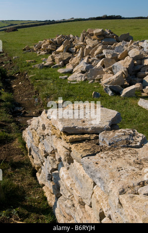 Nuovo purbeck secco muro di pietra Foto Stock