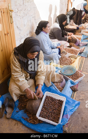Donne berbere lavorazione di rettifica albero di Argan gherigli per estrarre olio di Argan delle donne del villaggio di cooperativa. Assous Argan del Marocco Foto Stock
