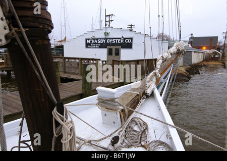 Annapolis Maryland, l'ultimo giorno di oyster stagione a bordo del tonnetto striato Helen Virginia. Foto Stock