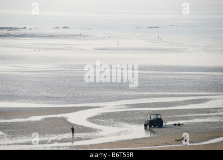 Persone e il trattore sulla spiaggia, bassa marea, St Aubin, Normandia, Francia. Foto Stock