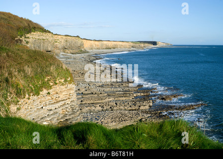 Glamorgan heritage costa da st donats vicino llantwit major Vale of Glamorgan Galles del Sud Foto Stock