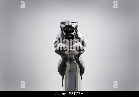 Jaguar cars firmare al di fuori di una showroom rivenditori Foto Stock