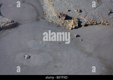 Fango caldo dettaglio Seltun area geothermial Islanda Foto Stock