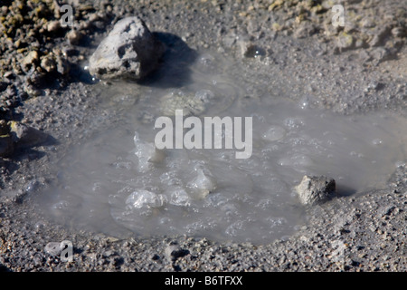 Fango caldo dettaglio Seltun area geothermial Islanda Foto Stock