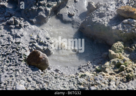 Fango caldo dettaglio Seltun area geothermial Islanda Foto Stock