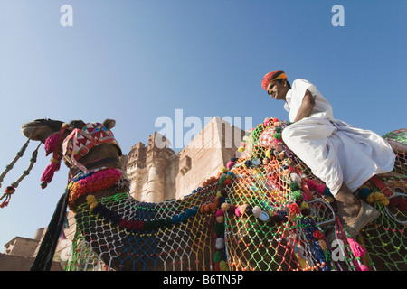 Uomo a cavallo su un cammello di fronte a fort, Meherangarh Fort, Jodhpur, Rajasthan, India Foto Stock