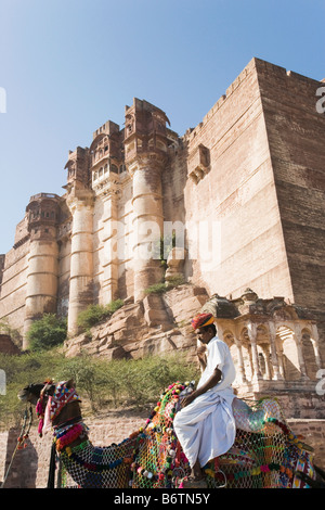 Uomo a cavallo su un cammello di fronte a fort, Meherangarh Fort, Jodhpur, Rajasthan, India Foto Stock