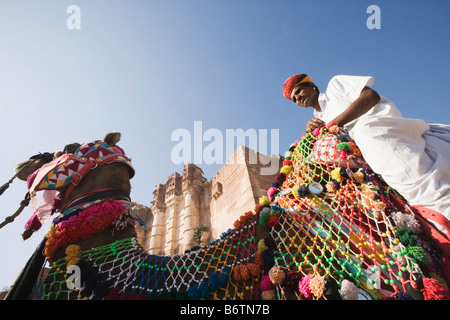 Uomo a cavallo su un cammello di fronte a fort, Meherangarh Fort, Jodhpur, Rajasthan, India Foto Stock