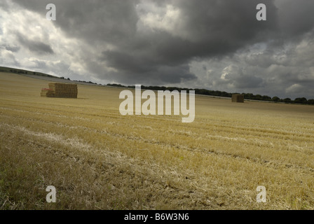 Un campo di stoppia e pile di fieno a Cherhill nel Wiltshire Foto Stock