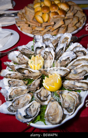 Ostriche su una piastra Foto Stock