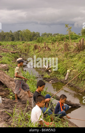 Bambini indonesiano di pesca in un canale tagliato a svuotare la torba palude foresta dopo la deforestazione Foto Stock
