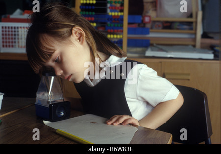 Bambina in una scuola primaria che studiano in aula un insetto utilizzando una casella di ingrandimento Foto Stock