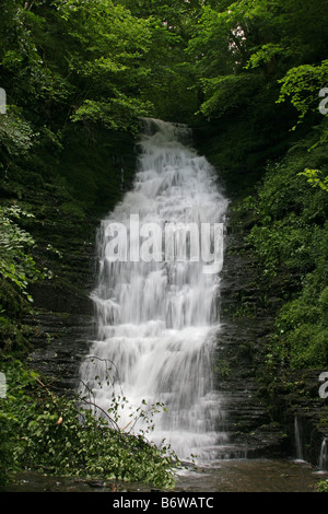 Water-Break-Its-Neck cascata vicino a Kington, Herefordshire Foto Stock