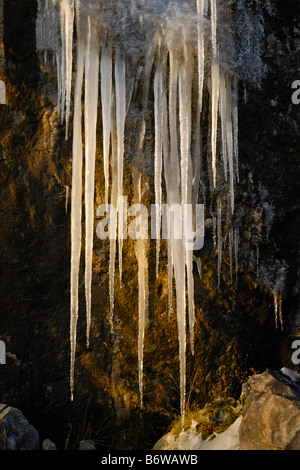 Icicle di fusione formazioni, Glenshee, Scozia Foto Stock