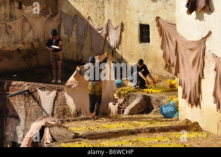 Lavoratori della conceria Fes, Marocco Foto Stock