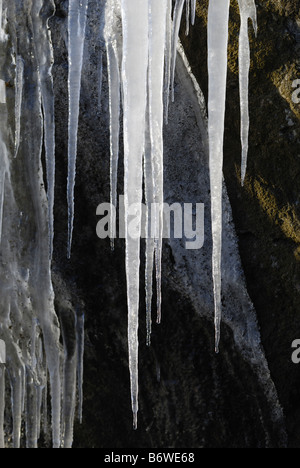 Icicle di fusione formazioni, Glenshee, Scozia Foto Stock