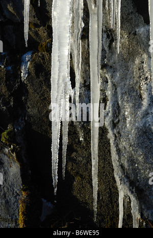 Icicle di fusione formazioni, Glenshee, Scozia Foto Stock