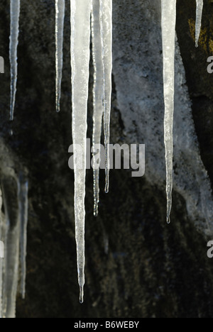 Icicle di fusione formazioni, Glenshee, Scozia Foto Stock