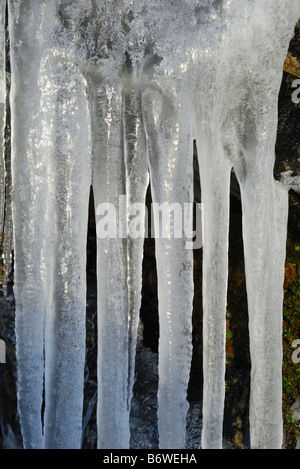 Icicle di fusione formazioni, Glenshee, Scozia Foto Stock