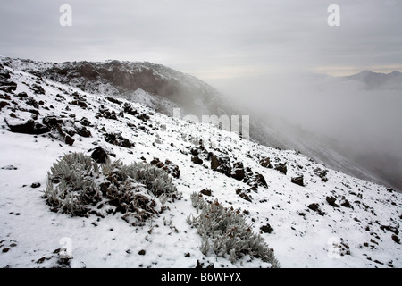 Vista dal vulcano Cotopaxi nelle Ande ecuadoriane Foto Stock