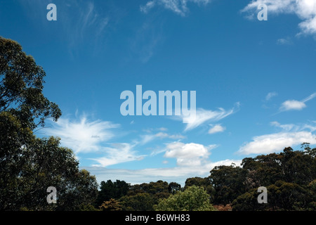 Cirrus, Cumulus e Stratus nuvole Foto Stock