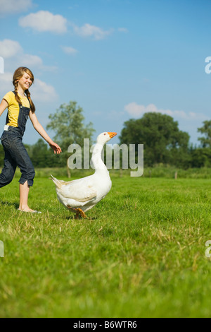 Una ragazza adolescente giocando con un oca Foto Stock