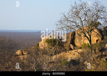 Africa, Kenya, Kajiado District, Ol Doinyo Orok. Un grande raduno di Guerrieri Maasai attendere in linea per essere benedetti da parte degli anziani Foto Stock