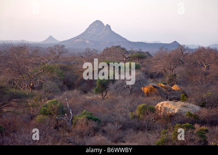 Africa, Kenya, Kajiado District, Ol Doinyo Orok. Un grande raduno di Guerrieri Maasai essendo benedetto durante una cerimonia Eunoto Foto Stock